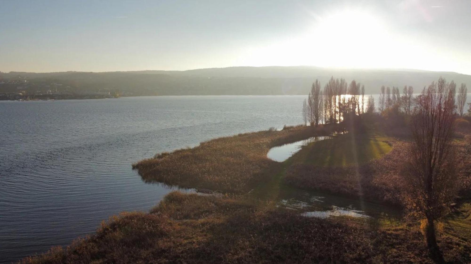 Seeluft Direkt Am Wasser Reichenau Εξωτερικό φωτογραφία