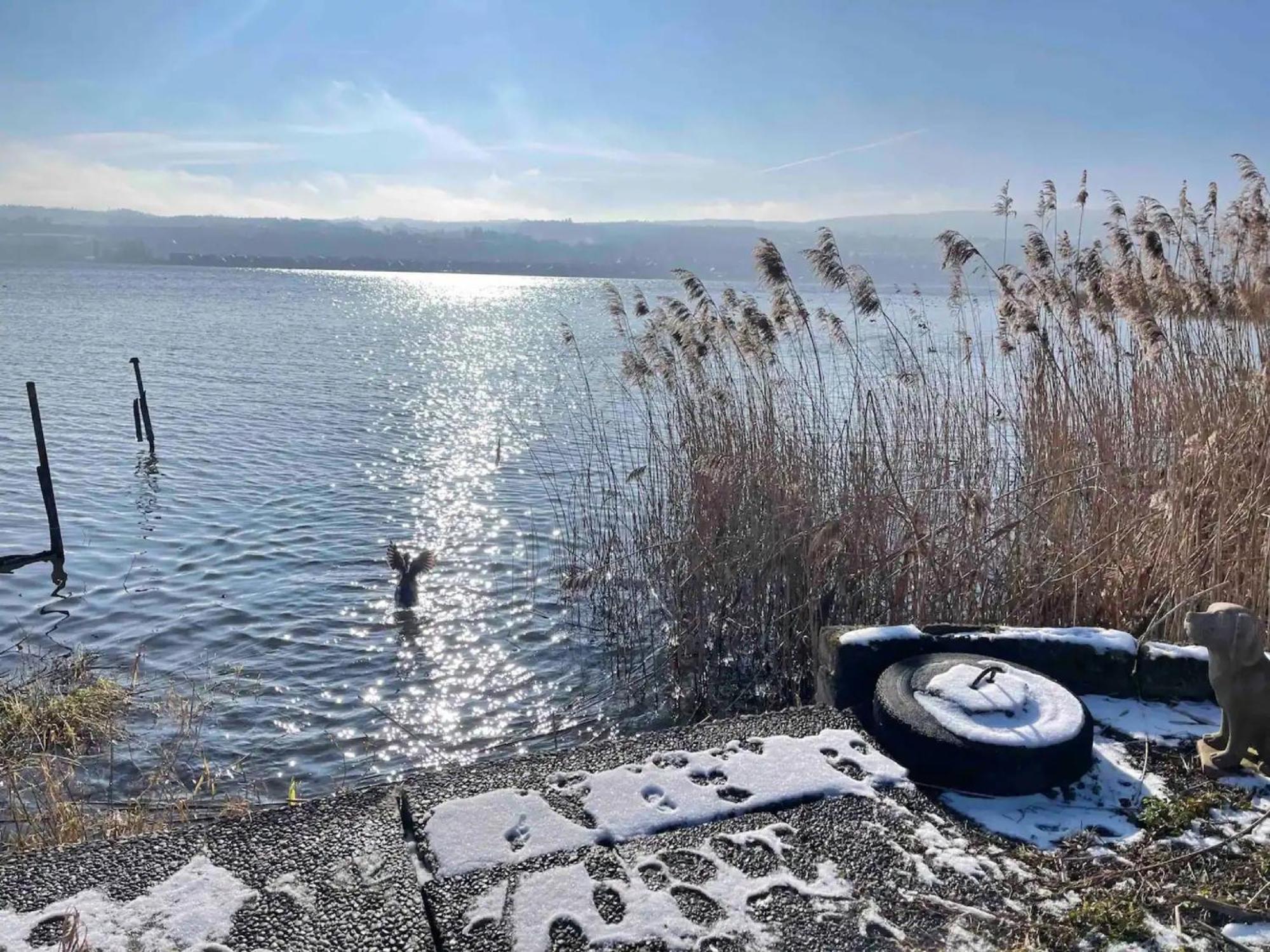 Seeluft Direkt Am Wasser Reichenau Εξωτερικό φωτογραφία
